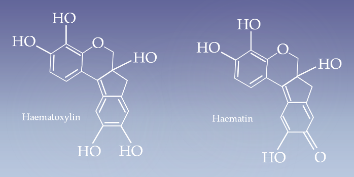 Relationship of Haematoxylin and Haematin