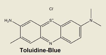 Toluidine-Blue